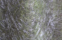 Cairnhill fibreglass roof work